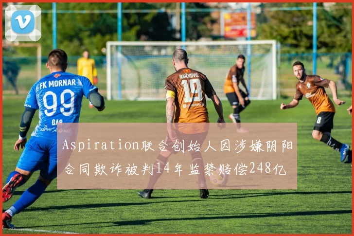 Aspiration联合创始人因涉嫌阴阳合同欺诈被判14年监禁赔偿248亿